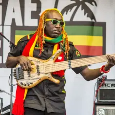 Muzyk w okularach gra na gitarze basowej. W tle baner z napisem "REGGAE" i flagą Jamajki.