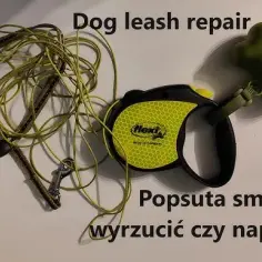 Jak naprawić zepsutą smycz automatyczną w domu bez kosztownej wizyty u specjalisty
