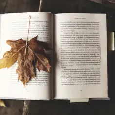 Co to jest literatura faktu? Odkryj jej znaczenie i różnice z fikcją