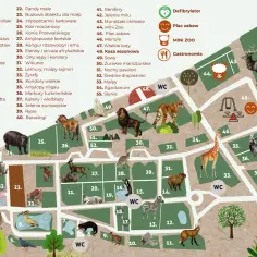 Mapa krakowskiego zoo z zaznaczonymi zwierzętami i atrakcjami. Sprawdź, ile kosztuje bilet do zoo w Krakowie, planując wizytę!