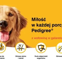 Czy karma Pedigree jest dobra dla psa? Opinie i wady, które musisz znać