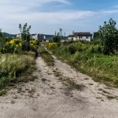Droga gruntowa przez zarośla, prowadząca do domów i bloków. To obrazuje, co oznacza służebność drogi w akcie notarialnym – prawo przejścia.