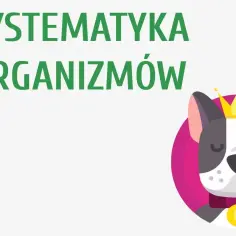 Co to jest systematyka w biologii i dlaczego jest tak ważna?