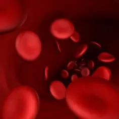 Czerwone krwinki płynące w naczyniu krwionośnym, obraz sugerujący stan bliski wstrząsowi hipowolemicznemu.