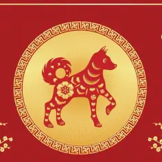 Czerwony pies, chiński znak zodiaku 2006, w złotej ramie z ozdobnymi węzłami i kwiatami.