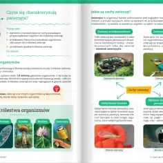 Czym zajmuje się biologia? Poznaj fascynujący świat życia i organizmów