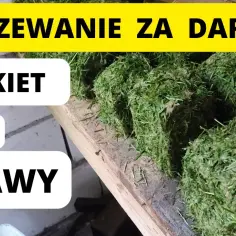 Jak zrobić brykiet z trawy - proste kroki i najlepsze materiały
