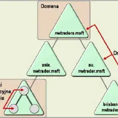 Jaką nazwę przyjmie las po utworzeniu w nim pierwszej domeny?