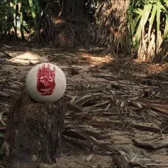 Najlepsze filmy o bezludnej wyspie: klasyki, nowości i co po Cast Away?