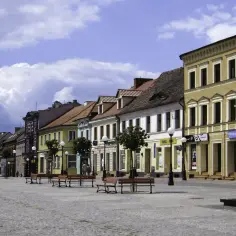 Kamienice przy brukowanym konin rynek. Czarny koń-rzeźba stoi na pierwszym planie.