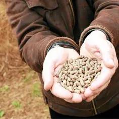 Kiedy pellet jest najtańszy? Oszczędzaj na ogrzewaniu w sezonie