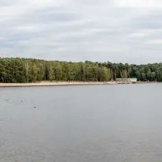 Spokojne jezioro z piaszczystą plażą i lasem w tle, kilka kaczek na wodzie.