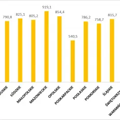Ile kWh zużywa mieszkanie? Sprawdź, jak obniżyć rachunki za prąd