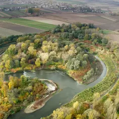 Graniczne Meandry Odry: Wieża, kajaki, bobry pełny przewodnik