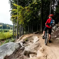 Trasy rowerowe Tatry: Odkryj najpiękniejsze i najtrudniejsze szlaki
