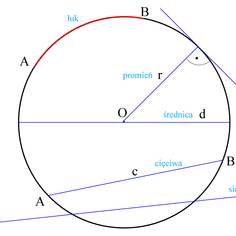 Geometryczny rysunek z łukiem, promieniem, średnicą, cięciwą i sieczną. Pokazuje elementy koła i okręgu.