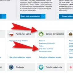 Skrócony odpis aktu urodzenia - jak go szybko załatwić w Polsce