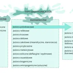 Schemat przedstawia typy genetyczne jezior: endogeniczne (tektoniczne, wulkaniczne) i egzogeniczne (polodowcowe, reliktowe, krasowe, deltowe, zakolowe, przybrzeżne, meteorytowe, eoliczne, osuwiskowe, biogeniczne, antropogeniczne), a także podział jezio...