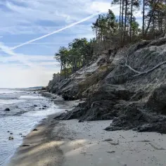 Brzeg morza z klifem porośniętym drzewami. Piękna, dzika plaża, idealna na orzechowo atrakcje i spacery.