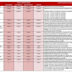 Ubezpieczenie szkolne: pełny zakres ochrony Twojego dziecka