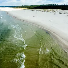 Plaża Słajszewo: szeroka, piaszczysta plaża z zielonkawą wodą Bałtyku i lasem sosnowym w tle.