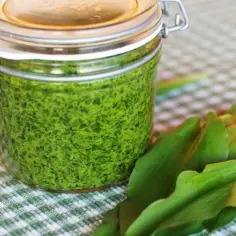 Gdzie kupić pesto z czosnku niedźwiedziego - najlepsze opcje i ceny
