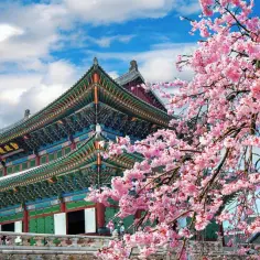 Ile kosztuje lot do Korei? Ceny, które mogą cię zaskoczyć