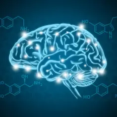 Co badanie neuroprzekaźników zdradza o Twoim umyśle? To fakty