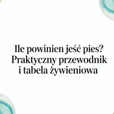 Ile gram karmy dla psa? Praktyczny przewodnik i tabela żywieniowa. Wodny motyw roślinny.