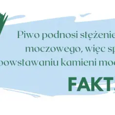 Czy piwo szkodzi na nerki? Odkryj niebezpieczeństwa dla zdrowia