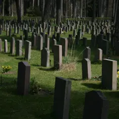 Ile kosztuje miejsce na cmentarzu na Wólce Węglowej? Ceny i opcje