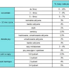 Ile gram gotowanego jedzenia dla psa? Sprawdź, ile powinien jeść