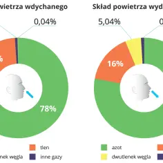 Porównanie składników powietrza wdychanego i wydychanego: azot, tlen, dwutlenek węgla i inne gazy.