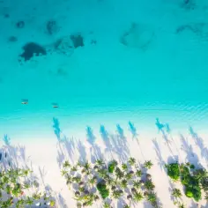 Rajska plaża z palmami i turkusową wodą. Zastanawiasz się, ile się leci na Zanzibar z Katowic? To podróż marzeń!