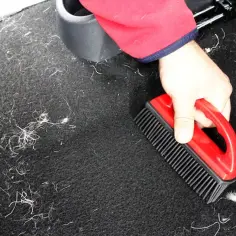 Ręka z czerwonym rękawem trzyma czerwono-czarną szczotkę, usuwając sierść psa z dywanu. To sposób, jak usunąć sierść psa z turboszczotki odkurzacza bez jej rozkręcania.