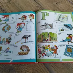 Wybierz najlepszy ilustrowany słownik polskiego dla dziecka i wzrokowca