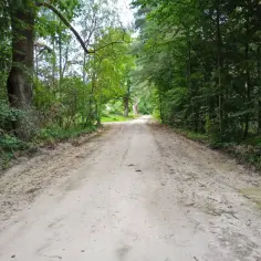 Trasy rowerowe w Międzywodziu: odkryj malownicze szlaki i ich trudność