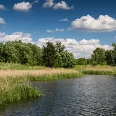 Spokojna tafla wody, otoczona bujną zielenią i wysokimi trawami. Gdzieś w oddali słychać szum strumyków.