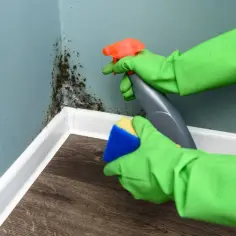 Skuteczne domowe sposoby na usunięcie pleśni ze ściany bez chemii