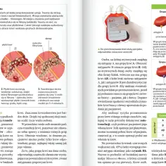Czy biologia to nauka ścisła? Odpowiedź może cię zaskoczyć!