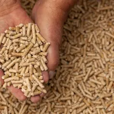 Pellet co to? Wszystko o ekologicznym paliwie przyszłości
