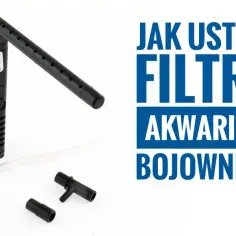 Jak prawidłowo zamontować filtr w akwarium – uniknij błędów i zadbaj o ryby