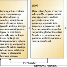 Czym zajmuje się sejm i senat? Kluczowe role w polskim prawodawstwie