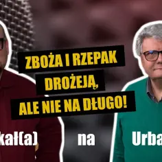 Aktualna cena rzepaku w skupie – nie daj się zaskoczyć!