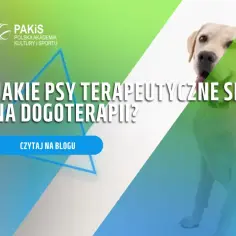Idealny pies terapeuta: Jak wybrać szczeniaka do dogoterapii?