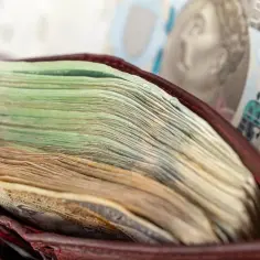 Portfel pełen banknotów, od zielonych po brązowe. Czy to wystarczy na pensję minimalną?