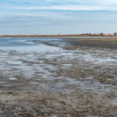 Płaski, błotnisty brzeg z kałużami wody i trawiastym horyzontem. To krajobraz, który może pomóc zrozumieć, dlaczego Morze Kaspijskie to jezioro.