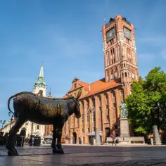 Pomnik osiołka na Rynku Staromiejskim w Toruniu, z Ratuszem Staromiejskim w tle.