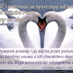Mądrość przypowieści Salomona: jak zastosować ich nauki w codziennym życiu
