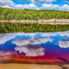 Działki nad jeziorem Lubuskie - idealne miejsca na inwestycję i relaks